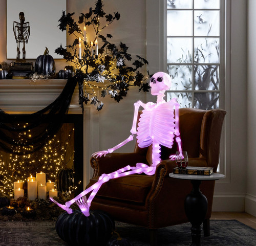 Pottery barn lit - pottery, bones